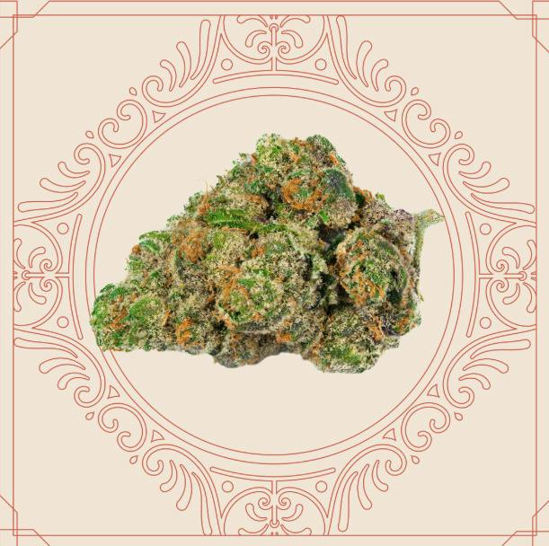 ROOTED FIRST LADY FLOWER 3.5G