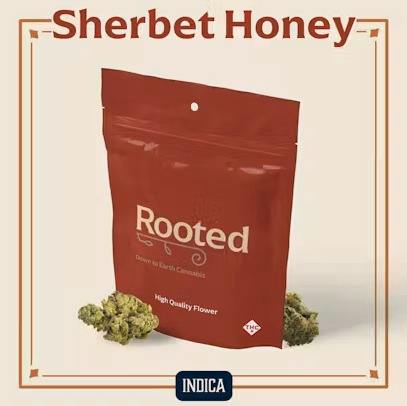 ROOTED SHERBET HONEY FLOWER 3.5G