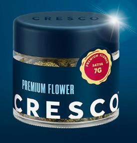 CRESCO LEMON BEAN FLOWER 7G