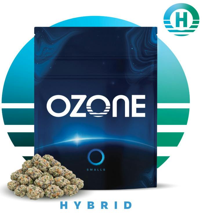 OZONE FRUIT GURU POPCORN 14G