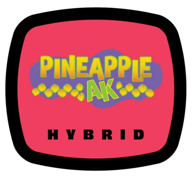 93 BOYZ PINEAPPLE AK INFUSED BLUNT 1.5G