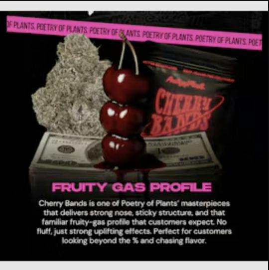 POP CHERRY BANDZ LIVE BADDER 2G