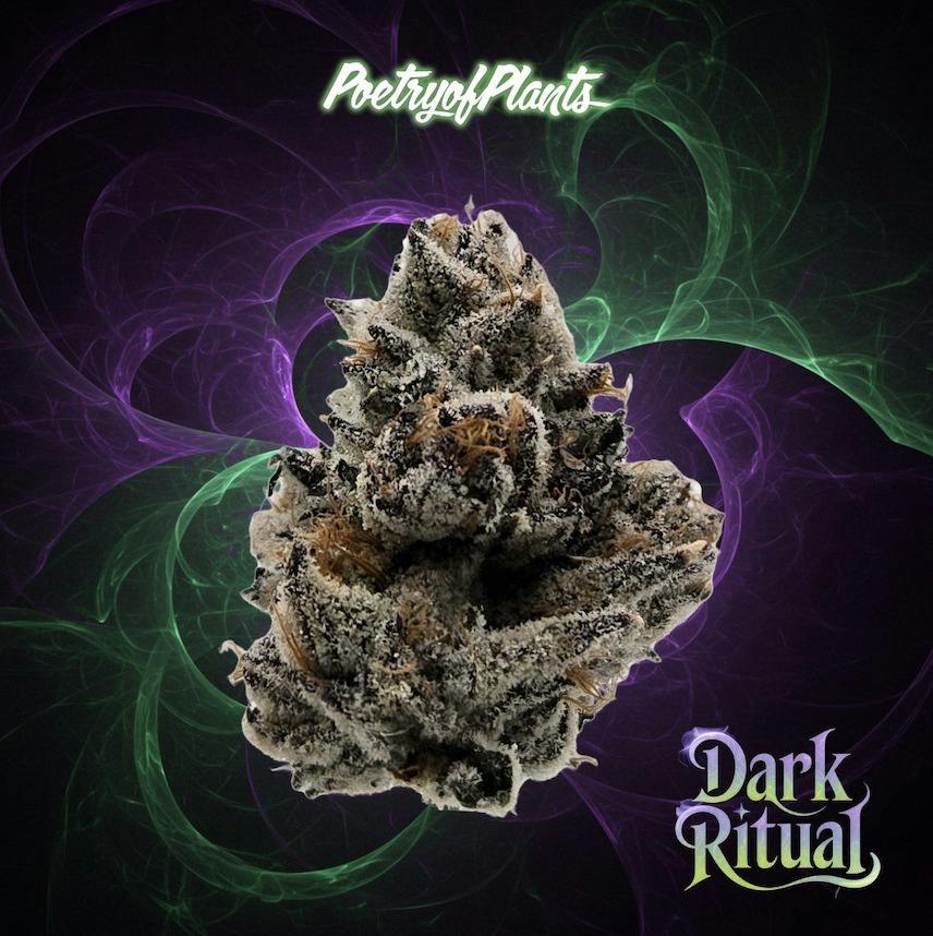 POP DARK RITUAL FLOWER 14G