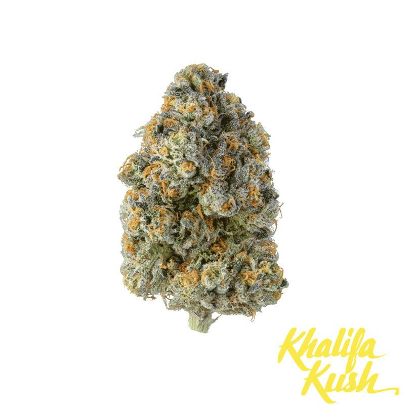 KHALIFA KUSH BABY TURTLE FLOWER 1G