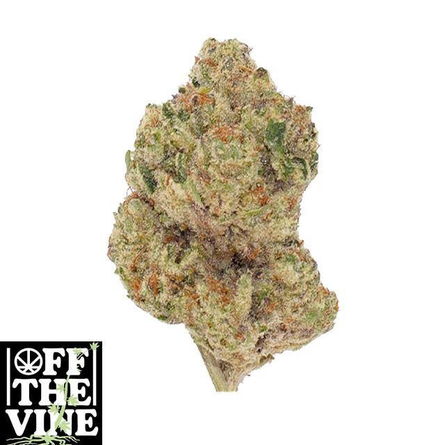 Gummy Buns - 14 g