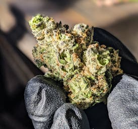LA Confidential