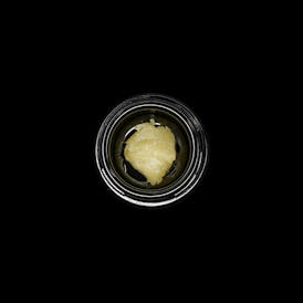 Apple of My Eye Live Rosin 1G