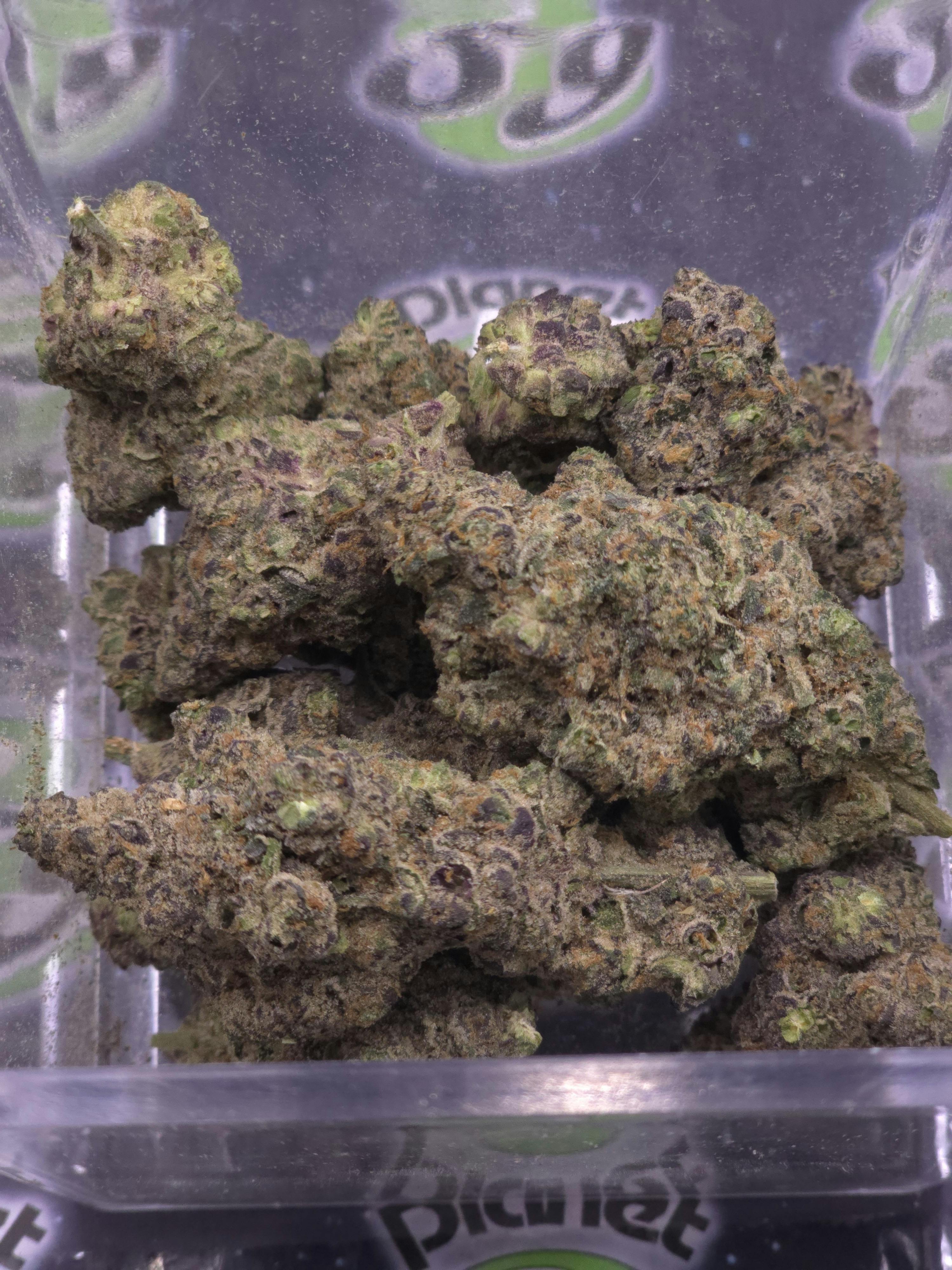 KAI | Bobby Brown | 28g Prepack