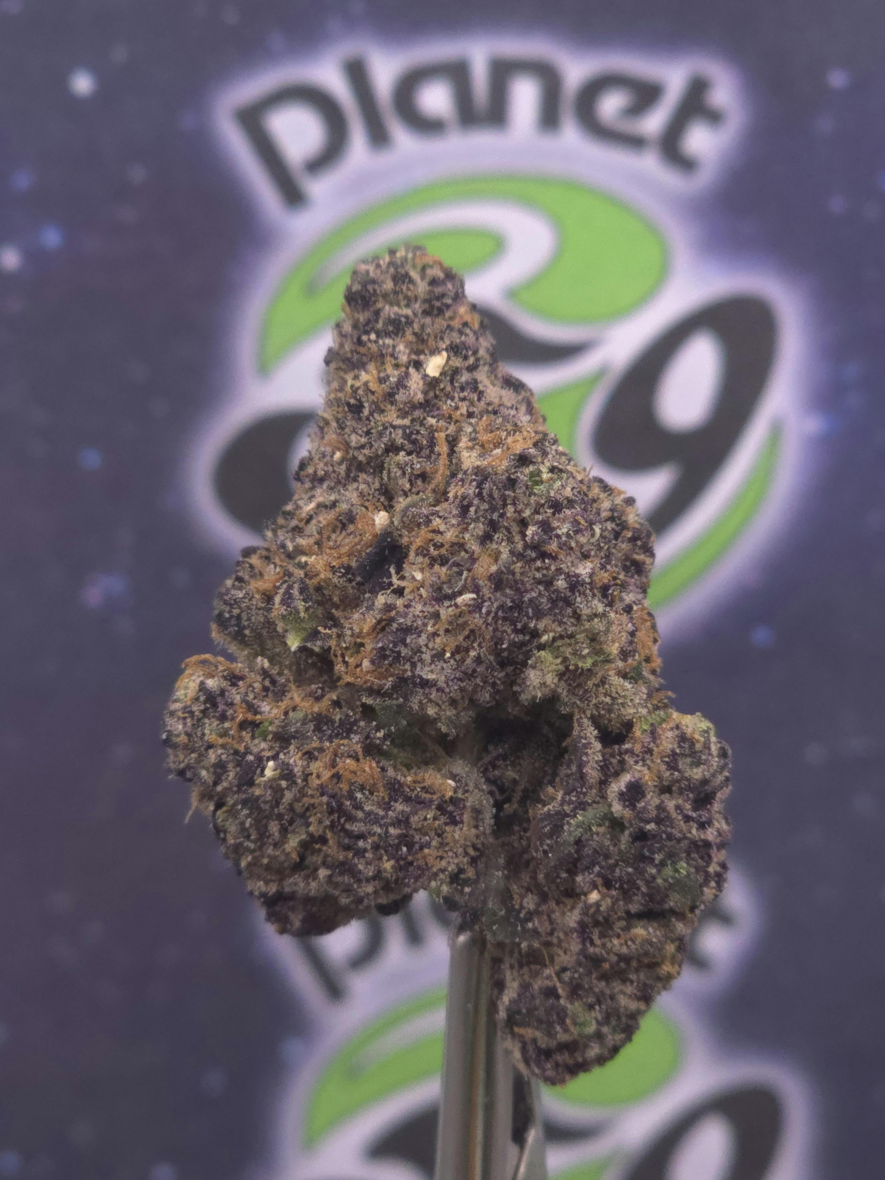 Freedom Green Farms | Black Cherry Ghost | 3.5g Prepacked