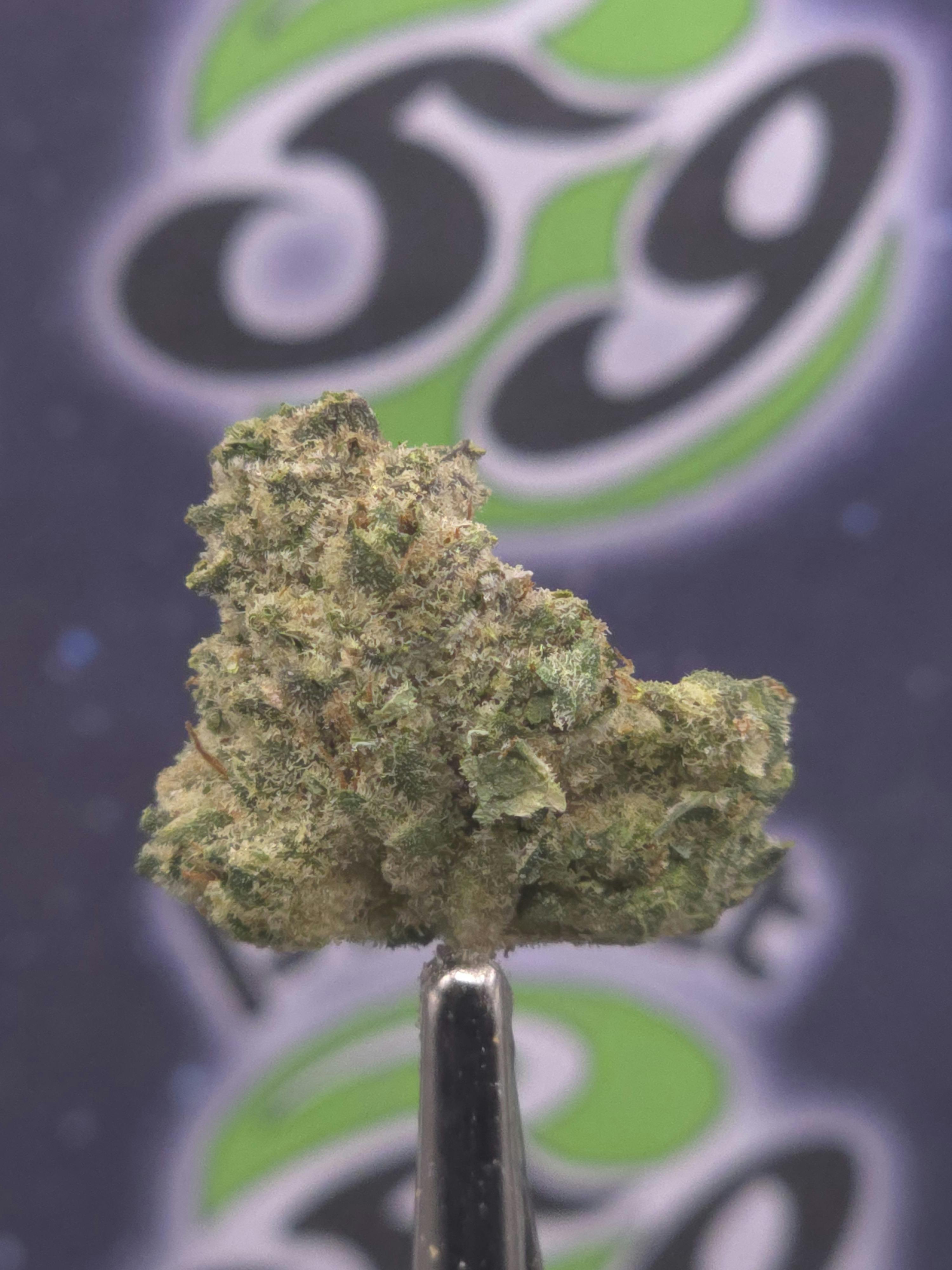 Harbor Farmz | Gorilla Glue #4 | 3.5g Prepacked