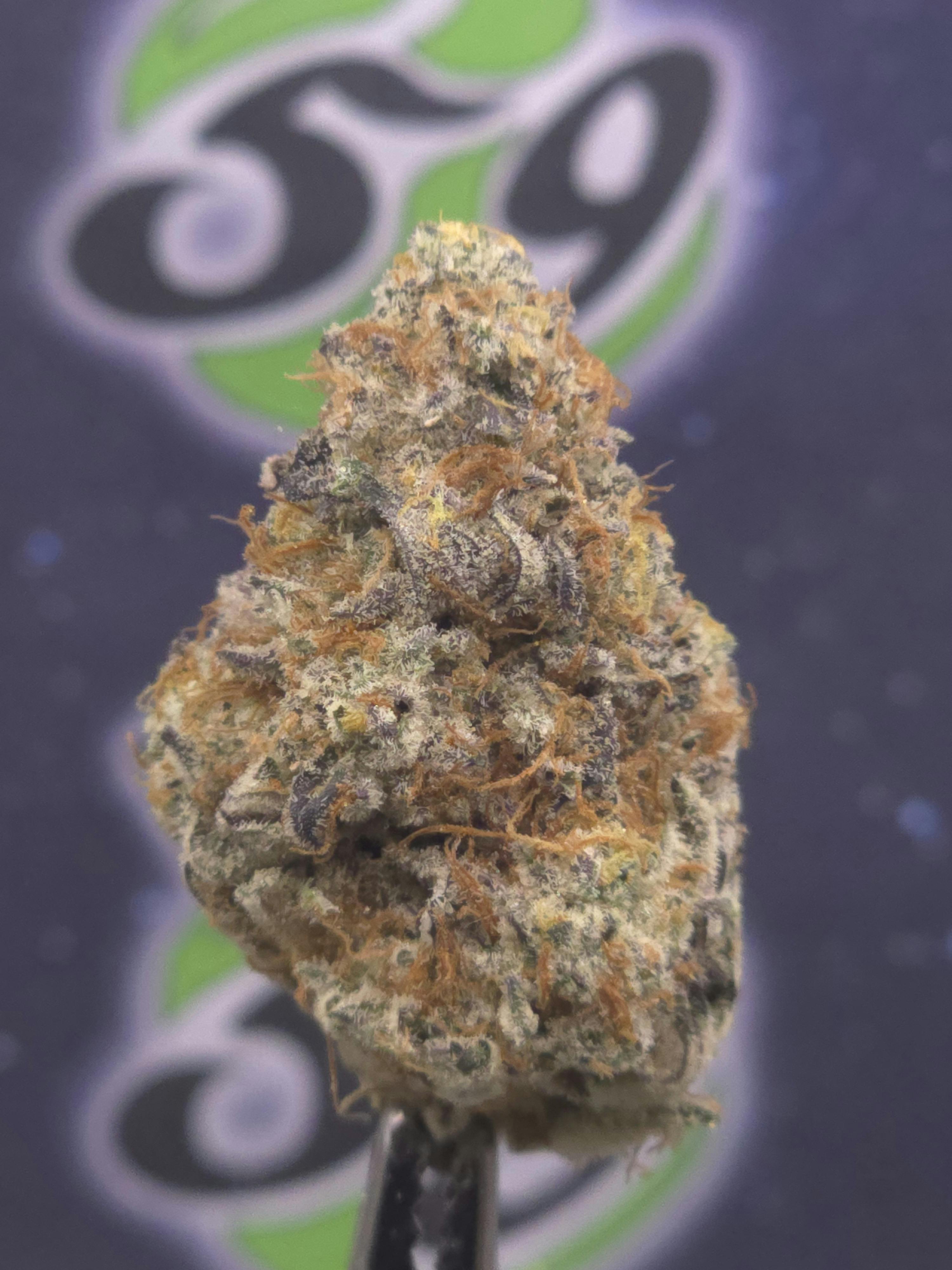 BAMN | Oishii | 3.5g Prepacked