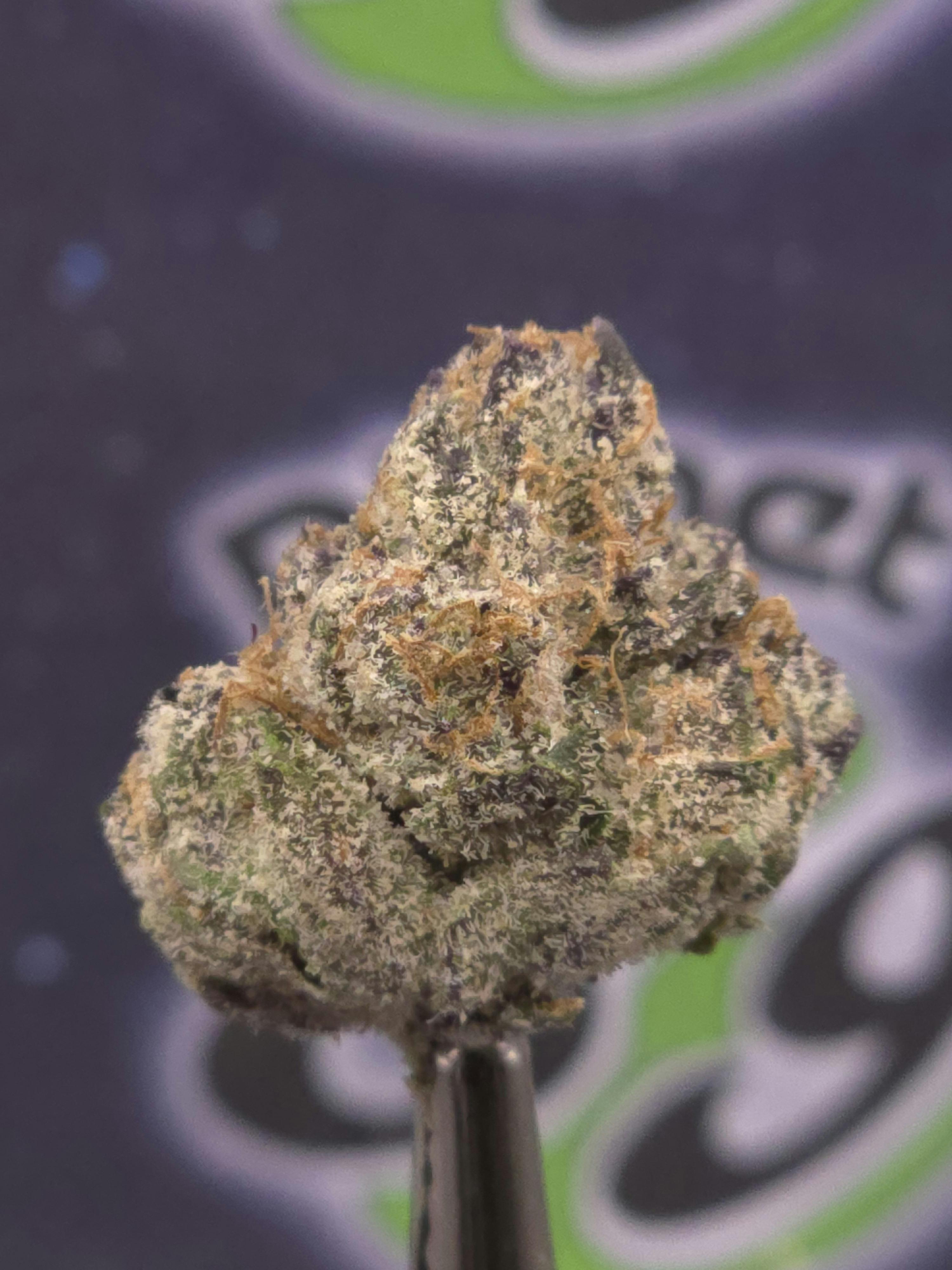 Redbud | Glitter Bomb | 3.5g Prepacked