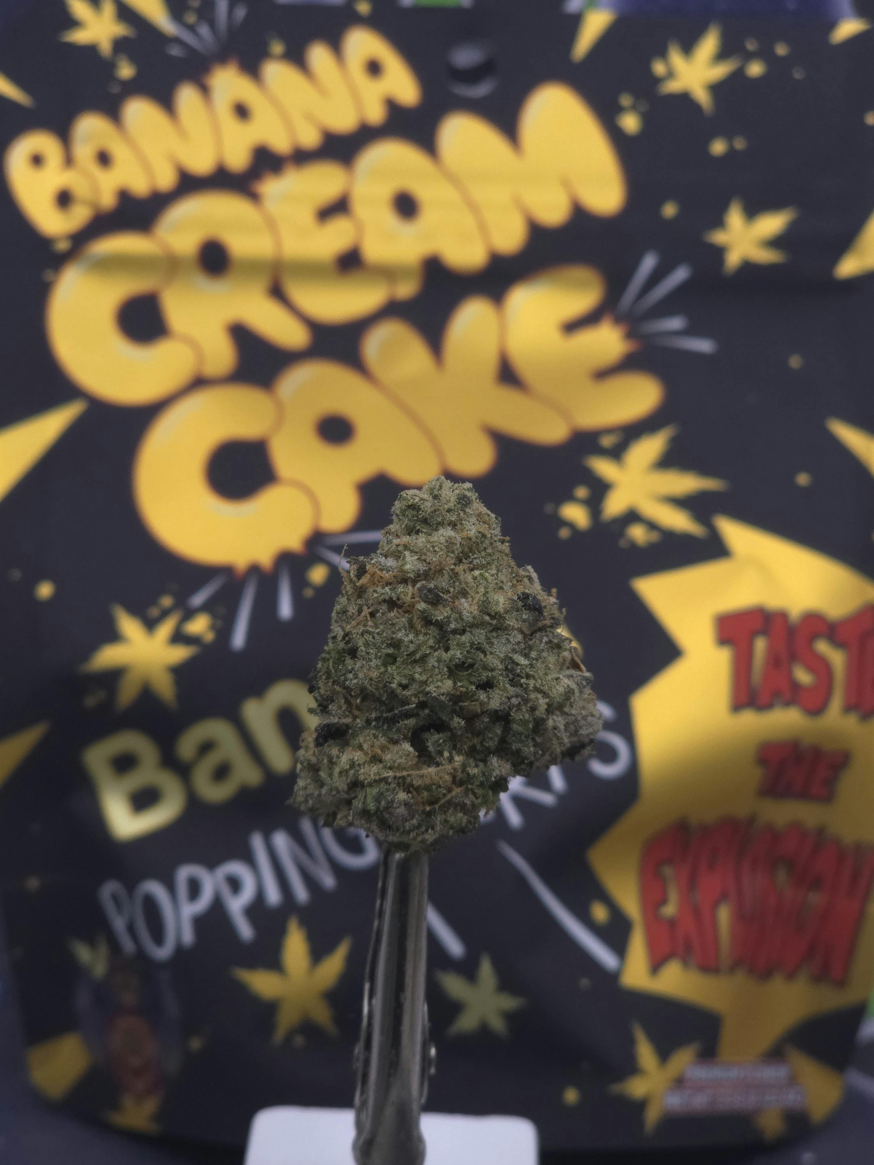 Michigander Fire | Banana Cream Cake | 3.5g Prepacked