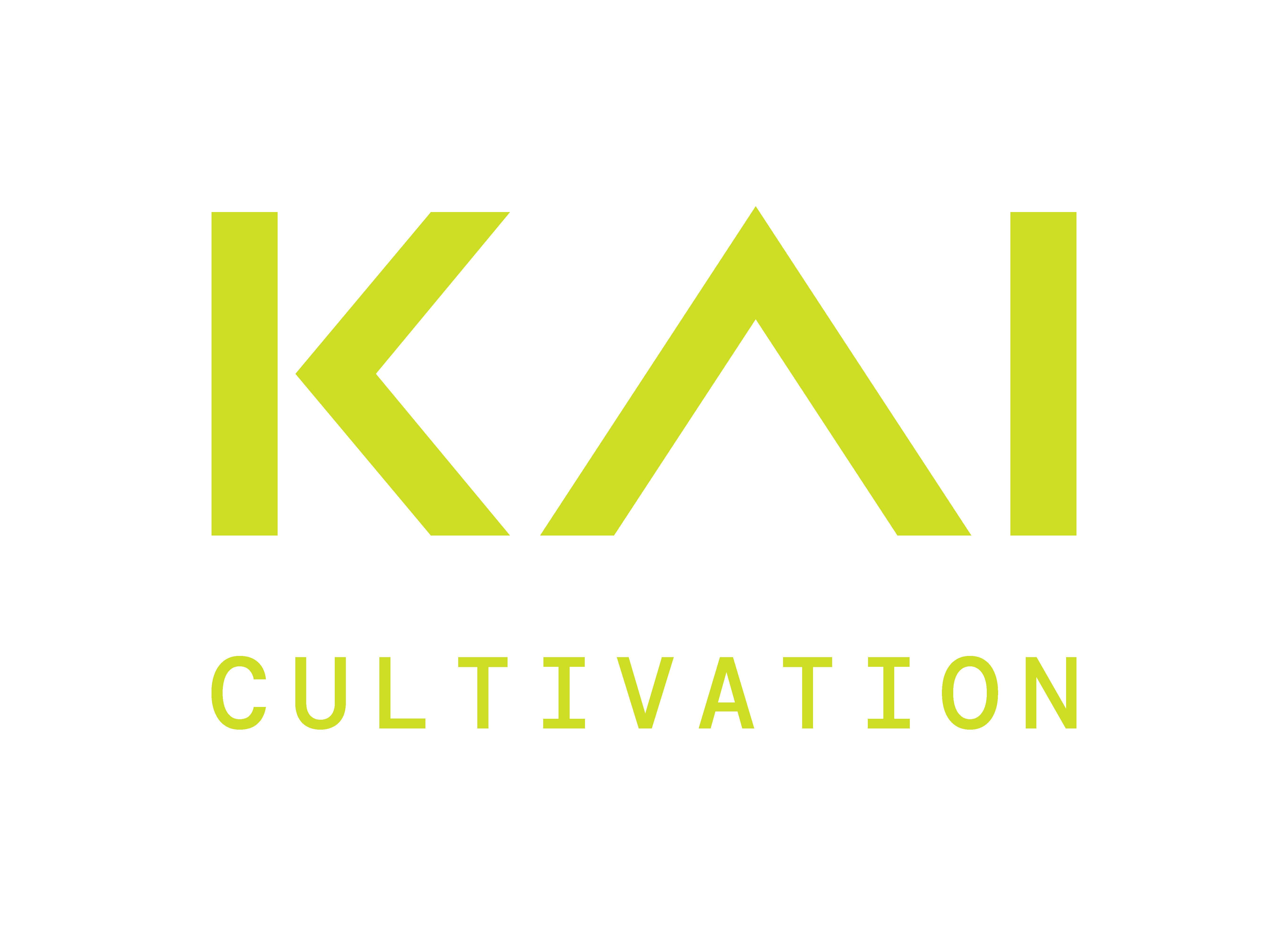 Kai | Gypsy Soap | BULK