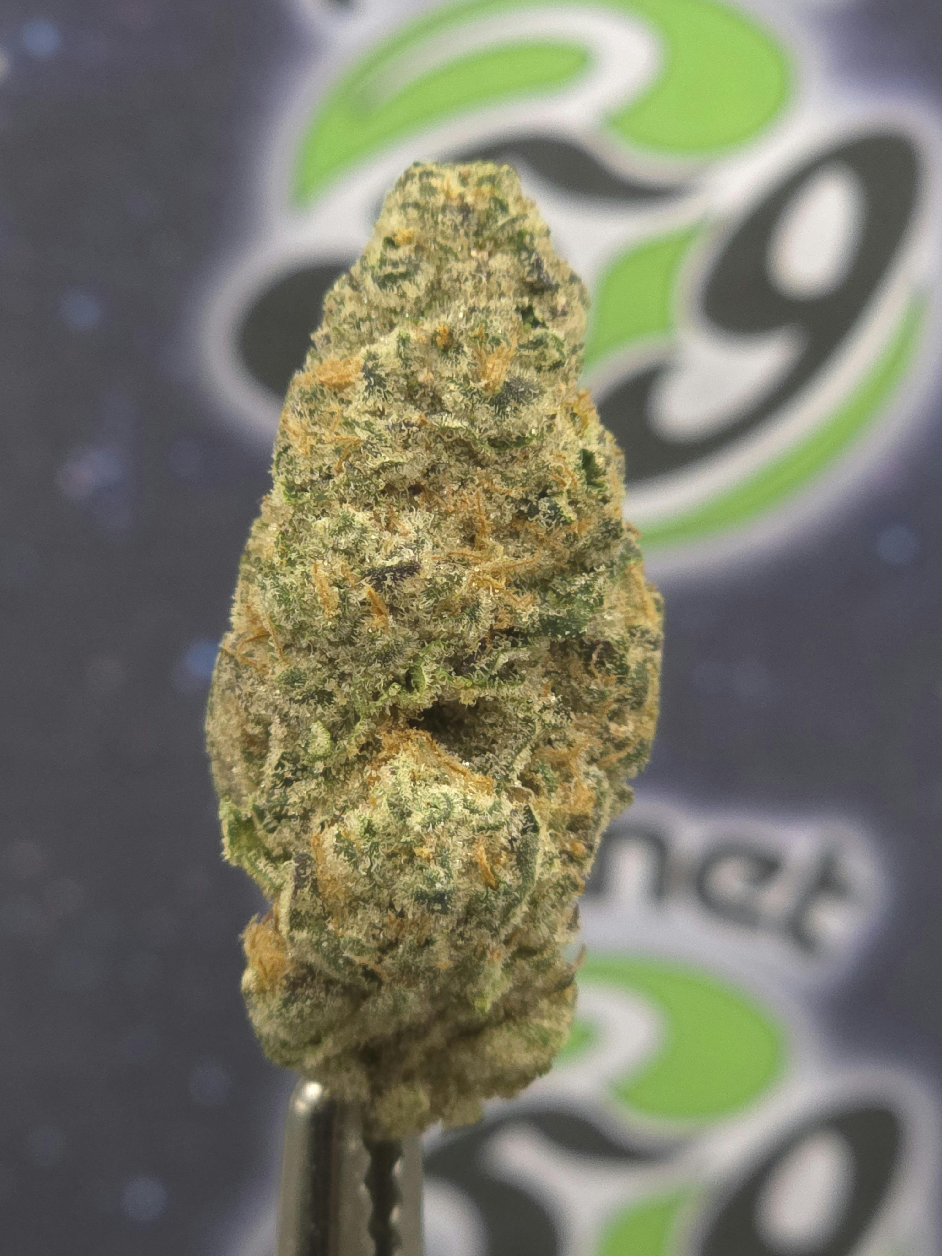 Northwoods | Permanent Cherry | 3.5g Prepacked