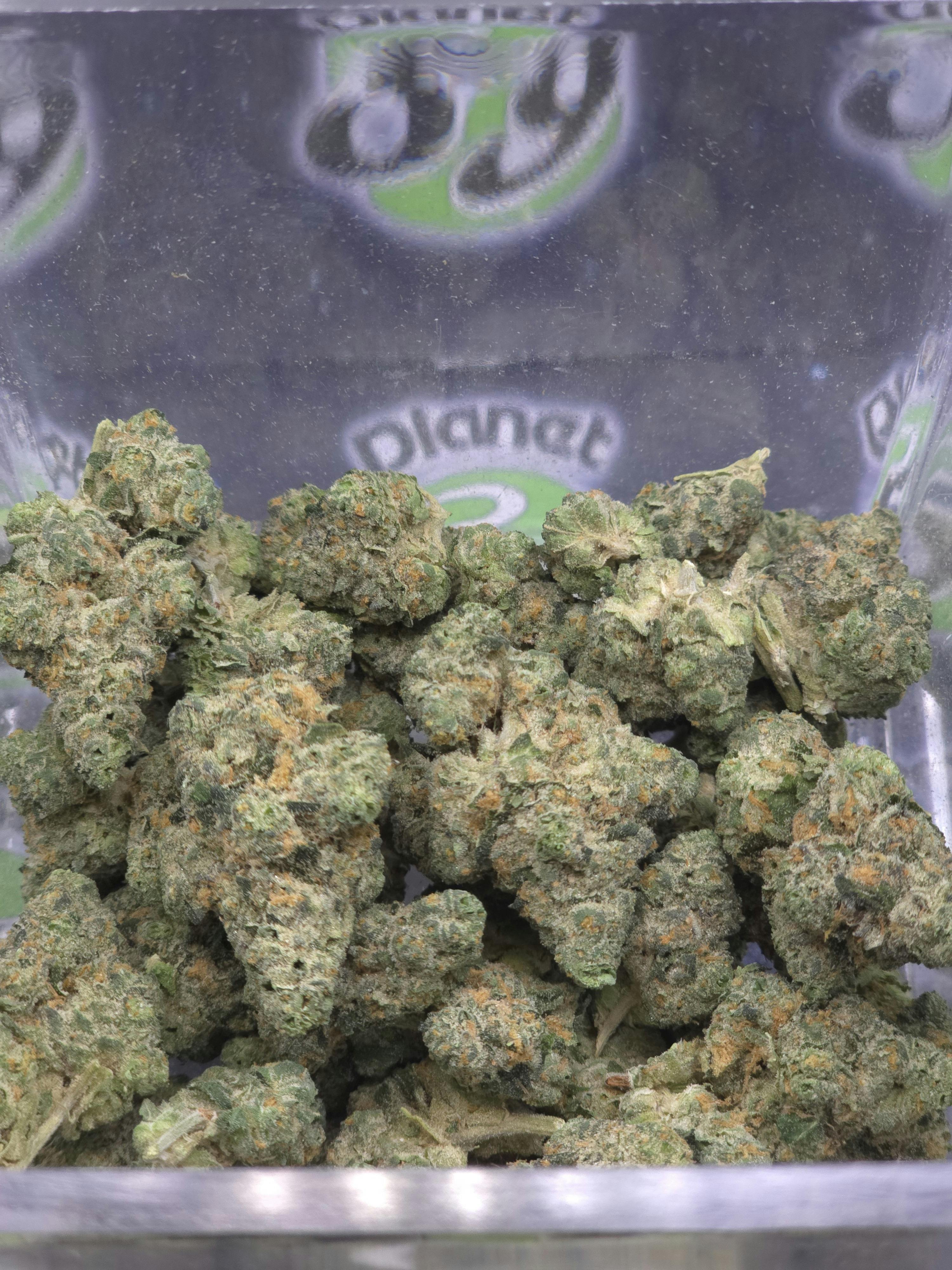 Alien Tek | Sherbmint | 28g Prepack