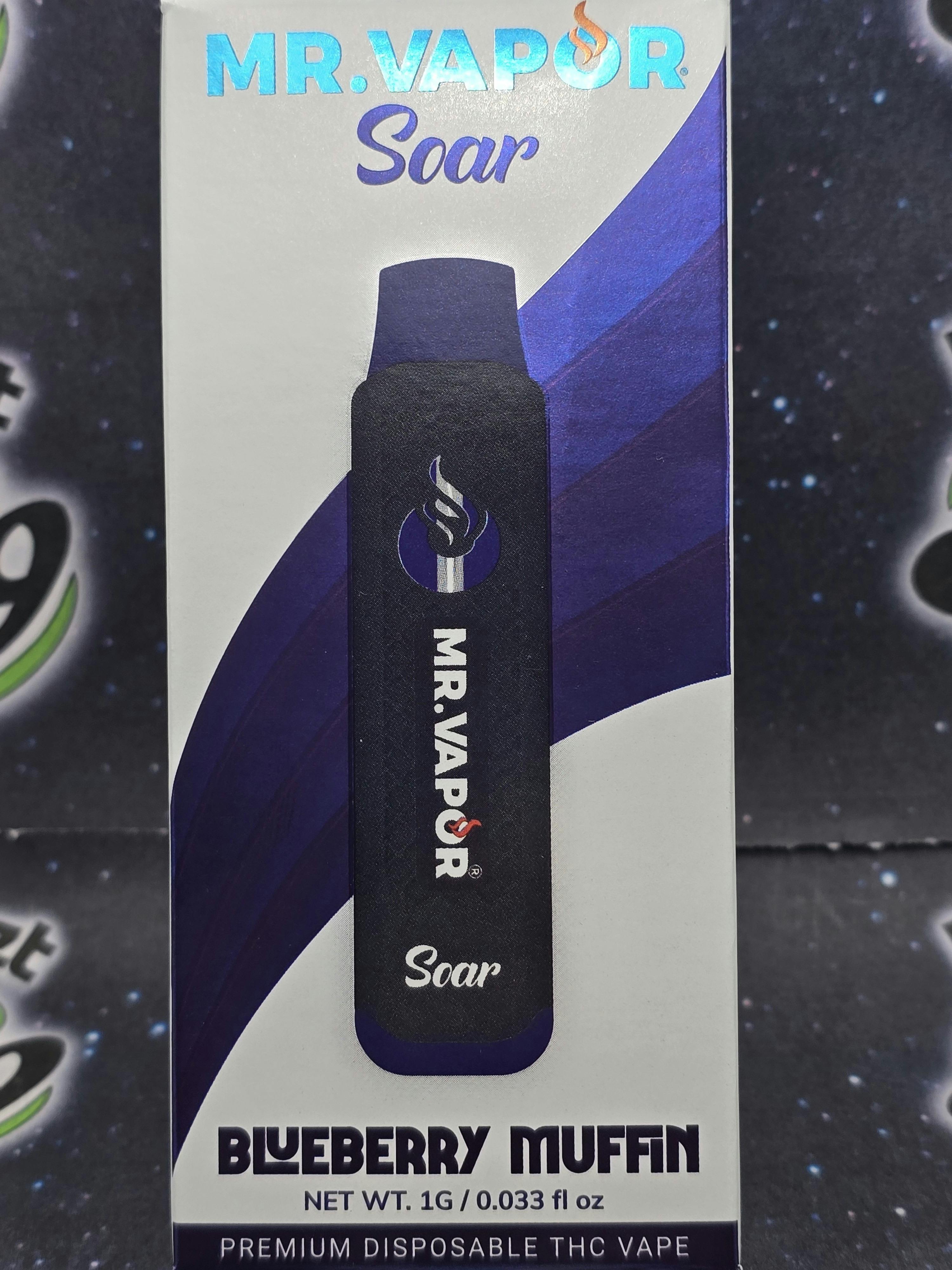 Mr. Vapor | Blueberry Muffin | 1g Disposable
