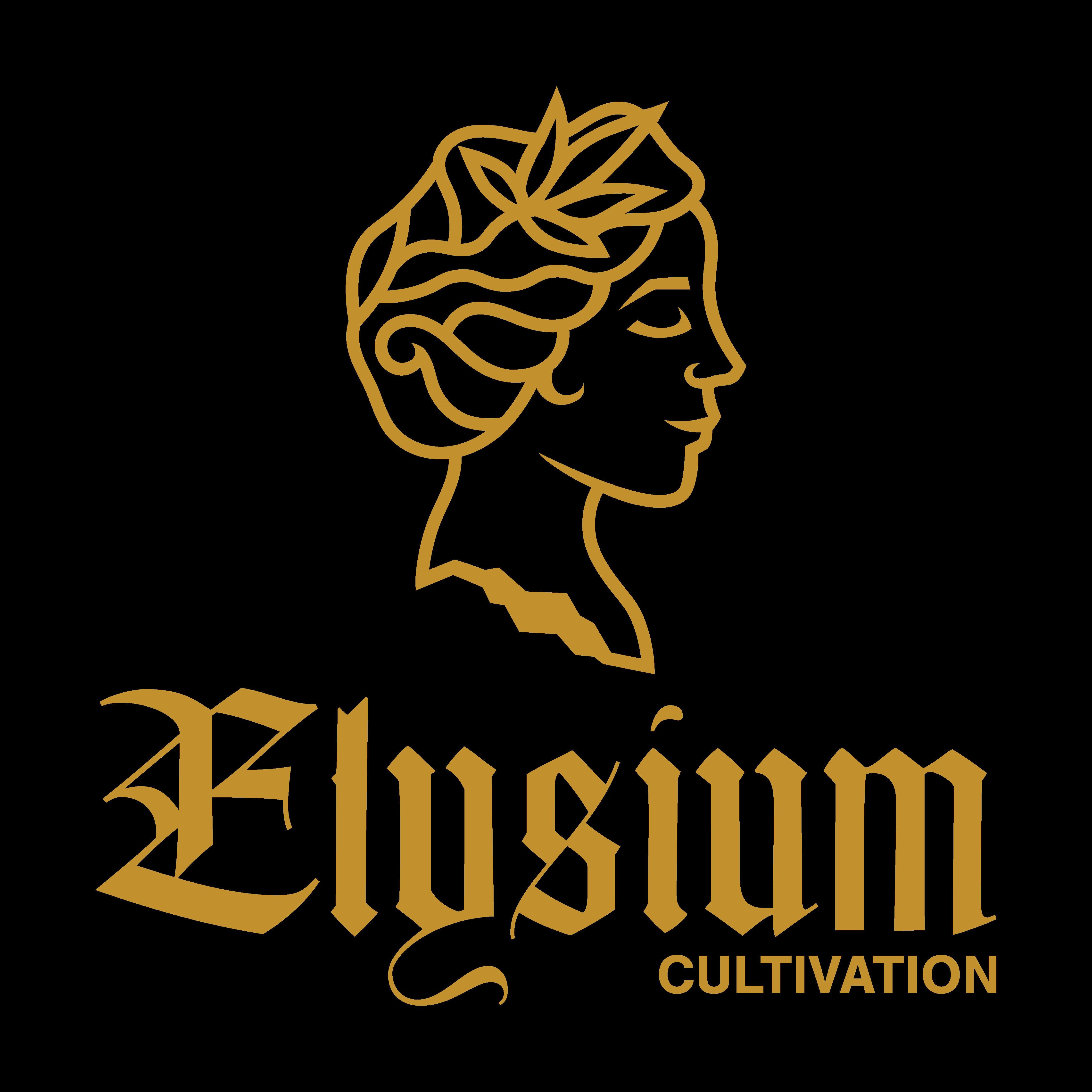 Elysium | Gastro Pop | Bulk