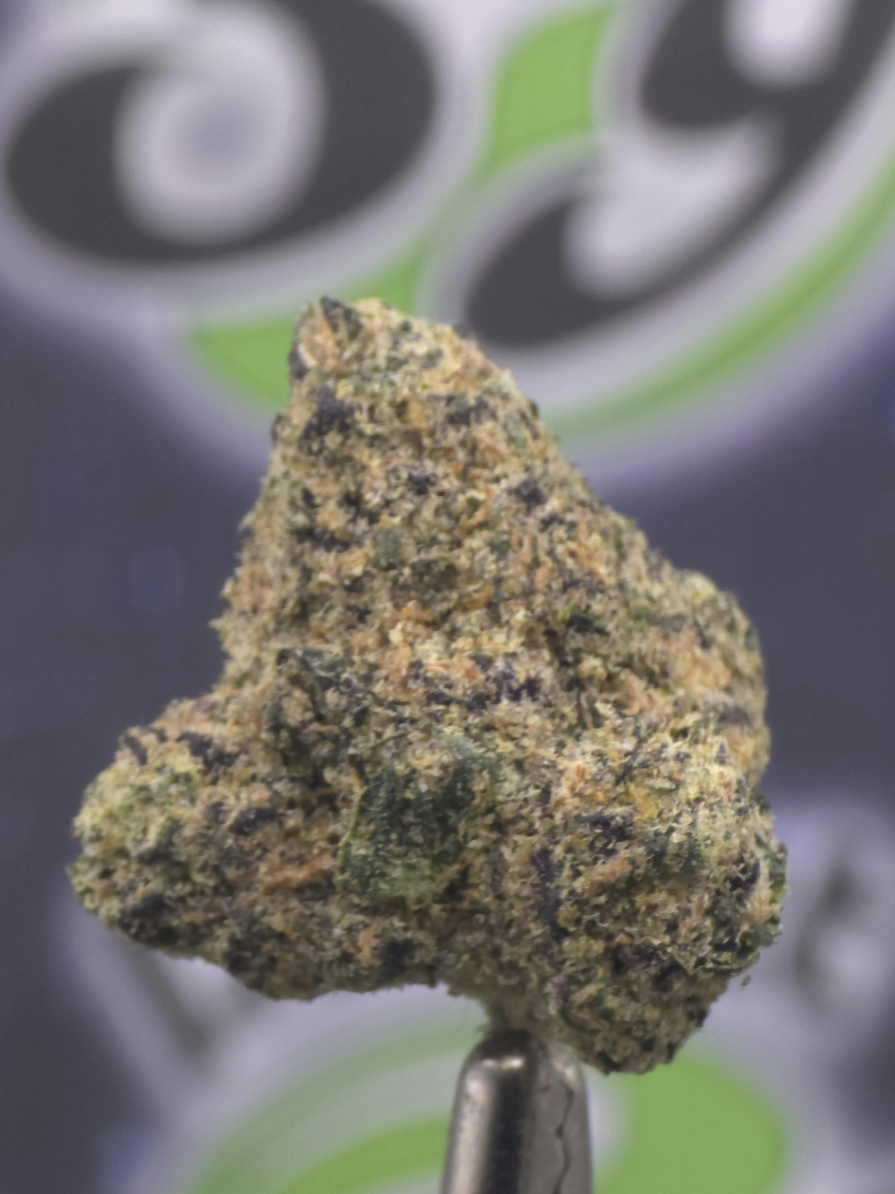 Plant Nerd | Highlighter | 3.5g Prepacked