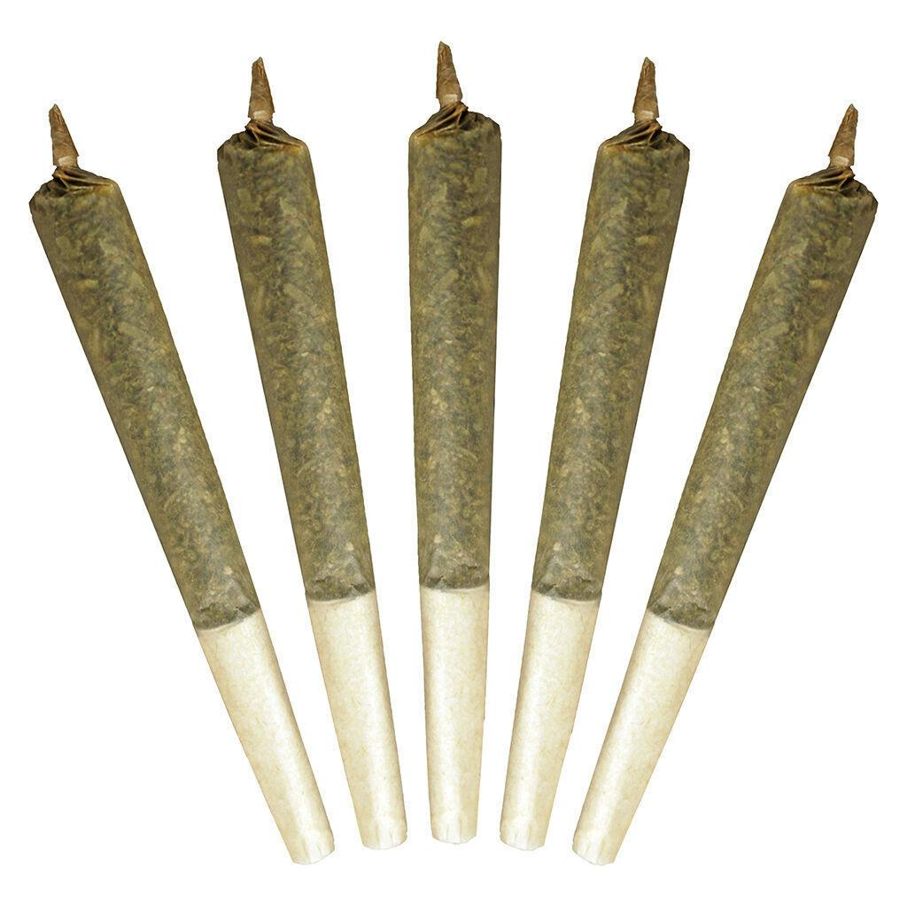 Buddy Blooms - Big Buddy Sativa Pre-Roll - 2x1g