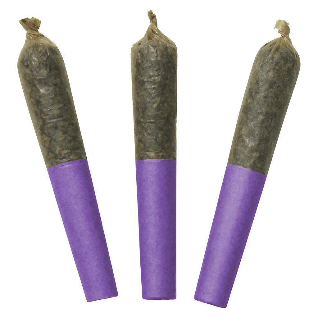 Dab Bods - Motor Breath 60's+ Dbl Infused Pre-Rolls - 3x0.5g