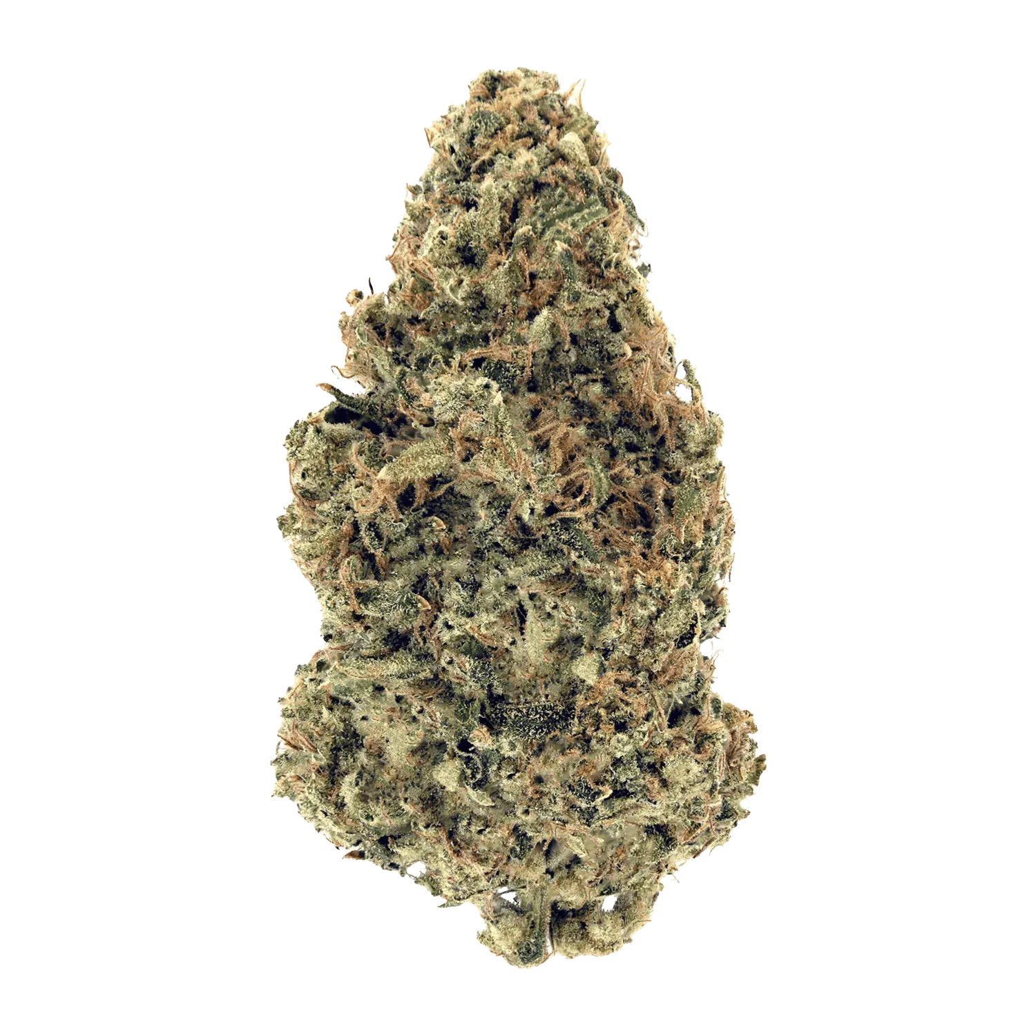 Country Club 14g Dried Flower