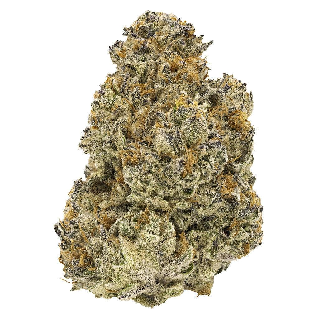 Chatty Kathy - Whole Flower 28g Dried Flower