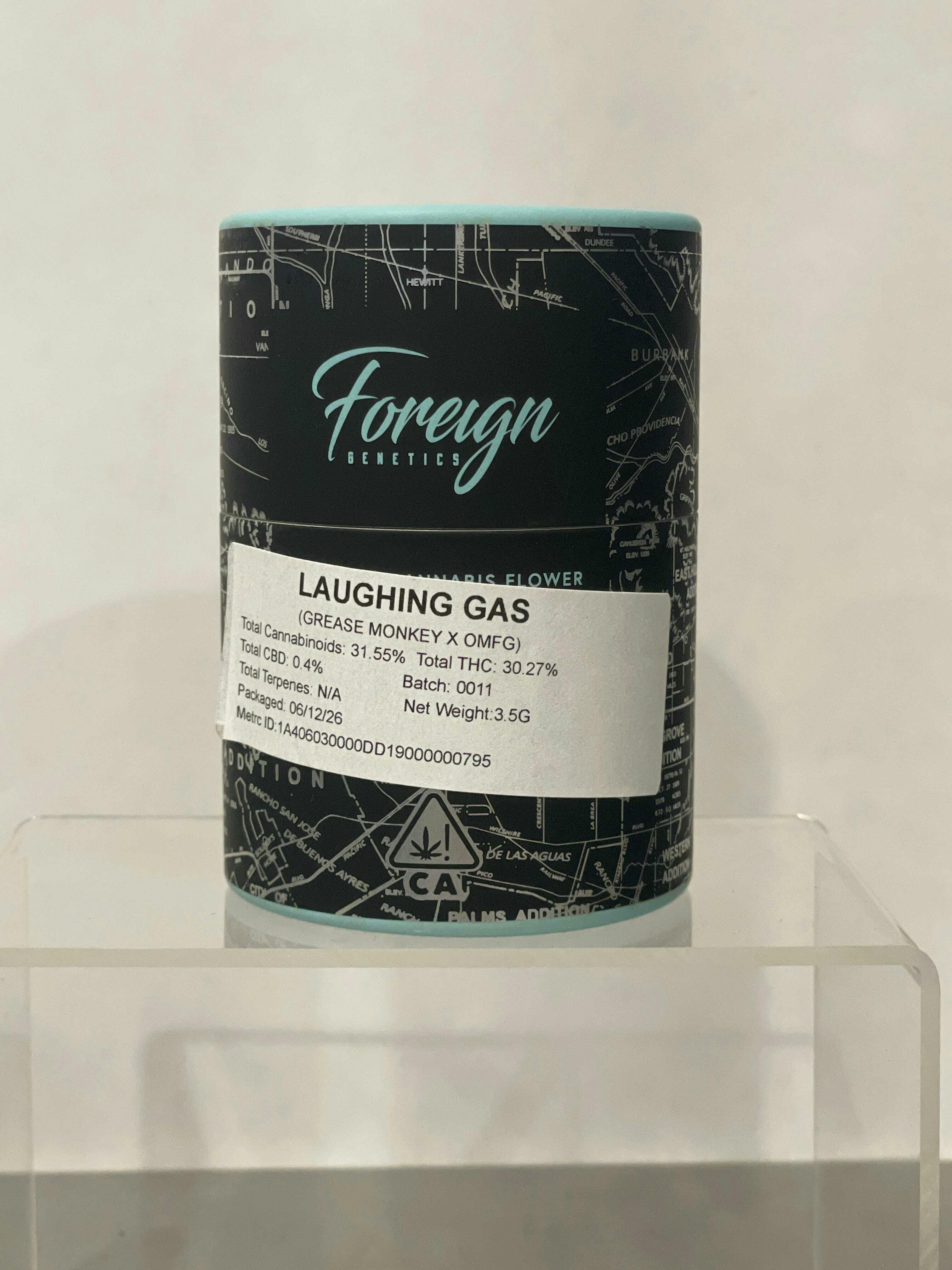 Foreign Genetics: Laughing Gas