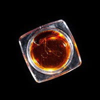 Holy Water — Pearz