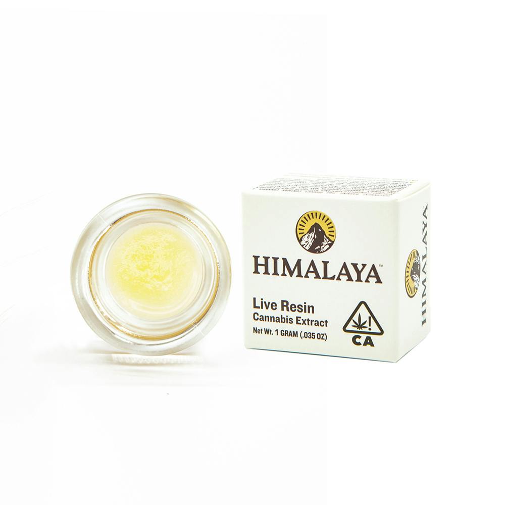 Himalaya: Cherry Gushers - Terp