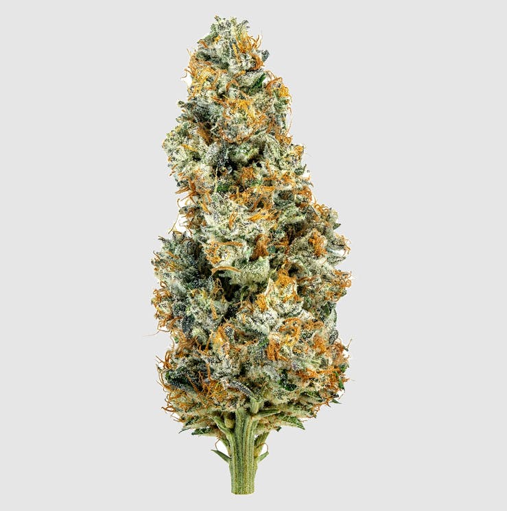Luci Canna Co.: Lemon Peel