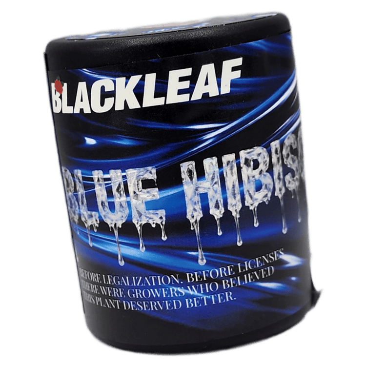 Blackleaf Flower Blue Hibiscus 3.5g