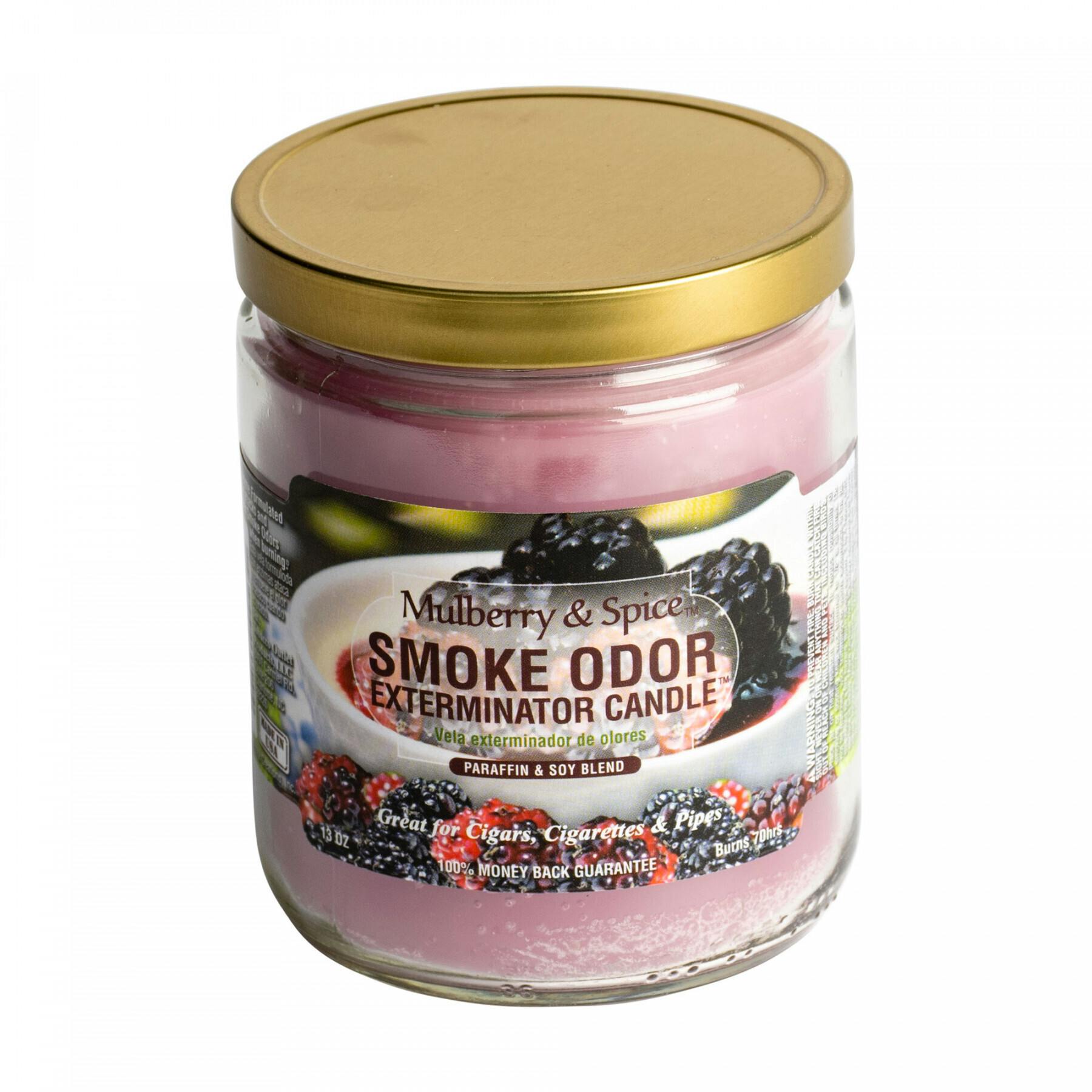 13oz Candle - Mulberry & Spice