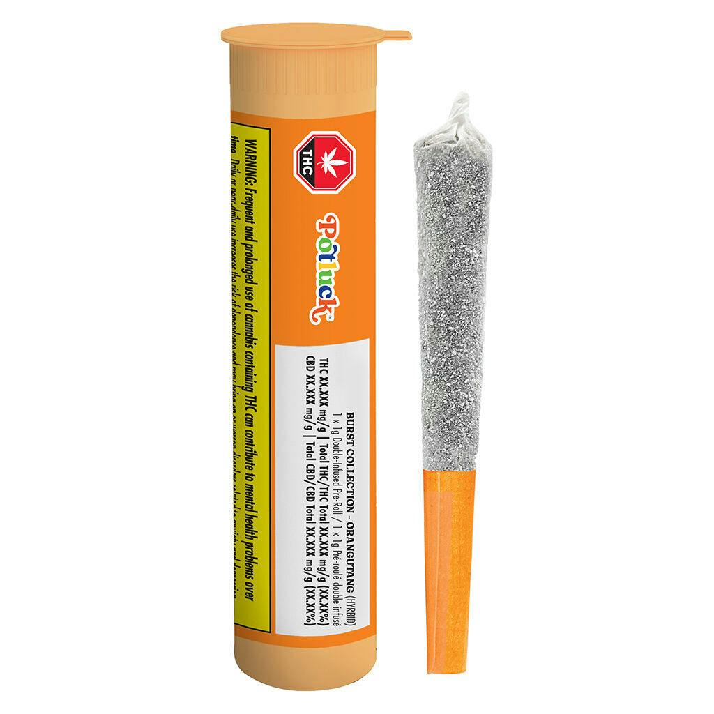 Orangutang Infused Pre-Roll - 1x1g