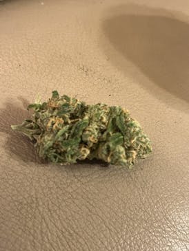 Nextier- 3.5g Prepack- Maui