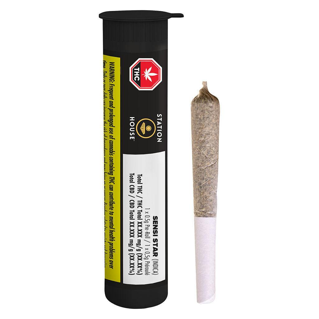 Station House - Sensi Star PRJ - 10x0.5g