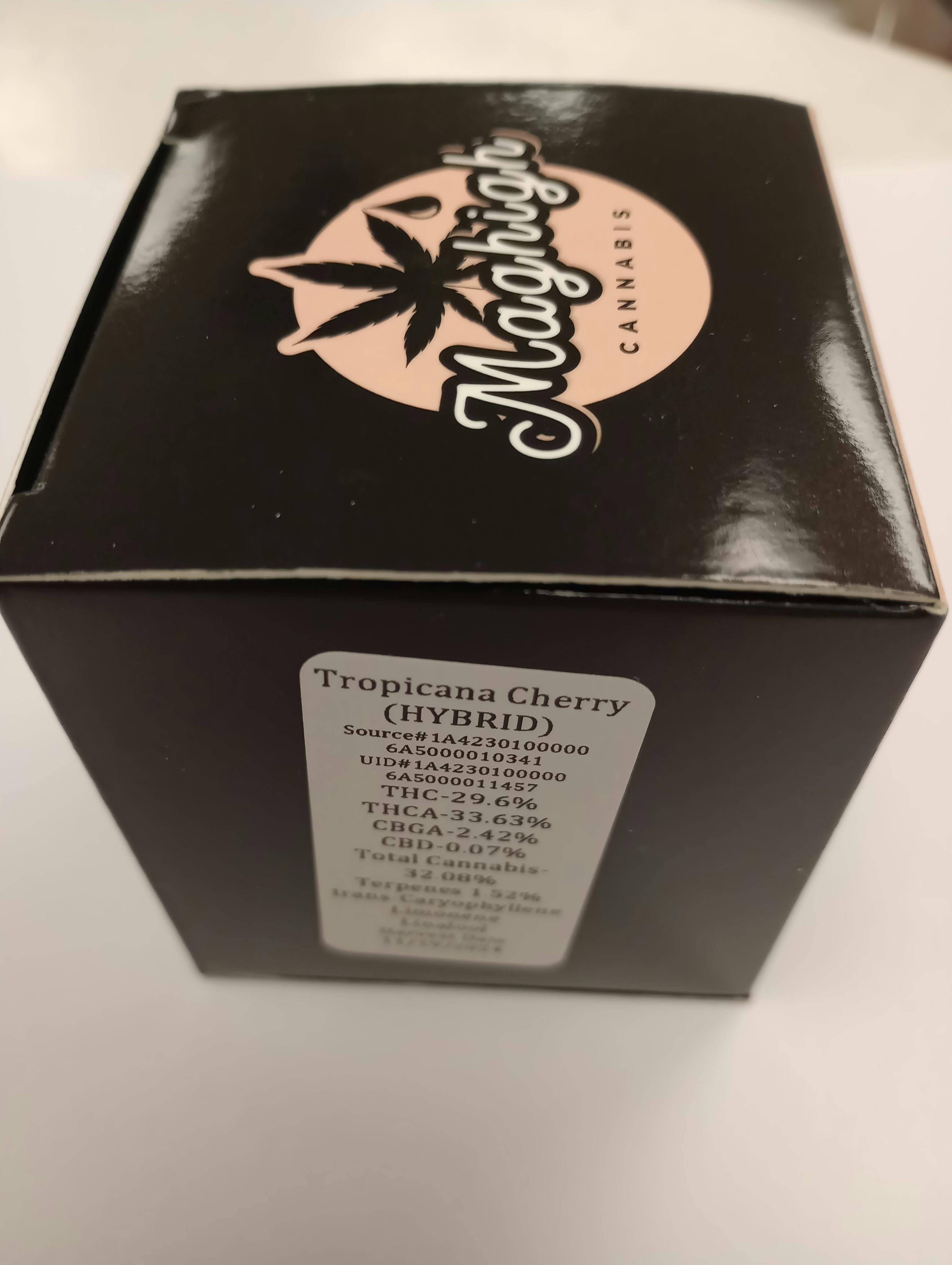 Tropicana Cherry 29.6% - 3.5g - Nature's Choice