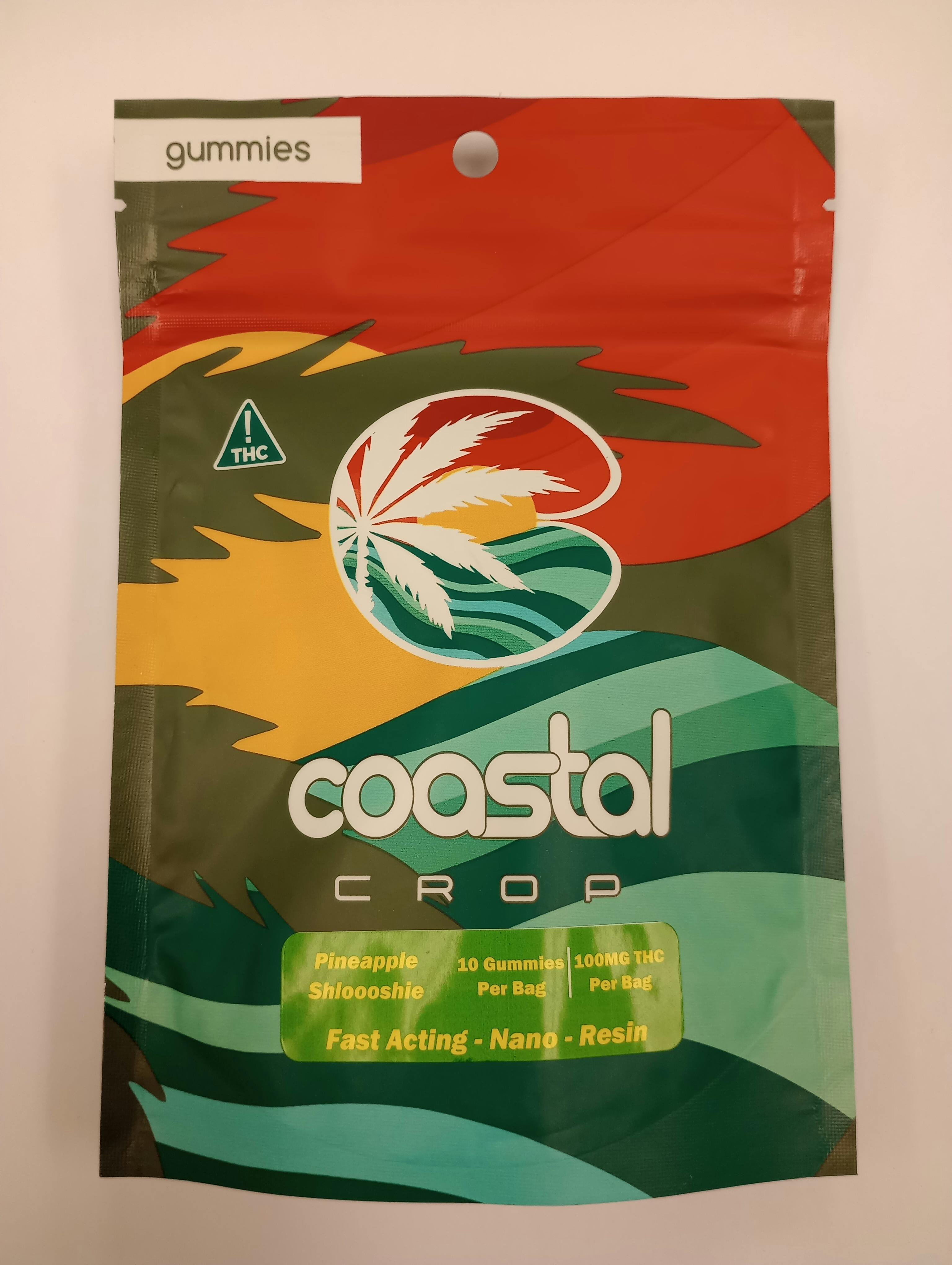Pineapple Shloooshie Gummies | 10pk 100mg | Coastal Crop