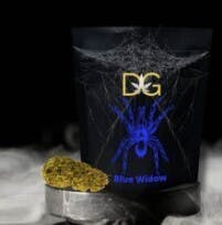 DG Blue Widow 3.5G