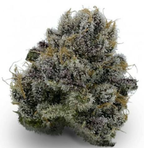 STAYCATION Dreamline 3.5g