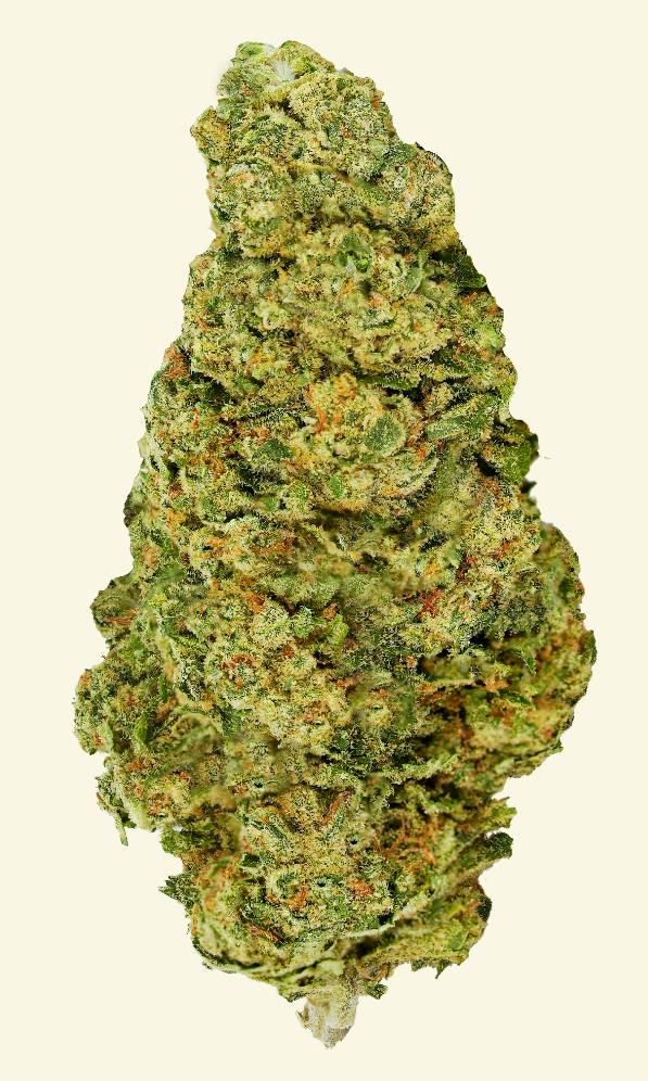 BACK FORTY Galactic Jack 7g