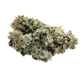 DOM JACKSON Loud Litlz 7g