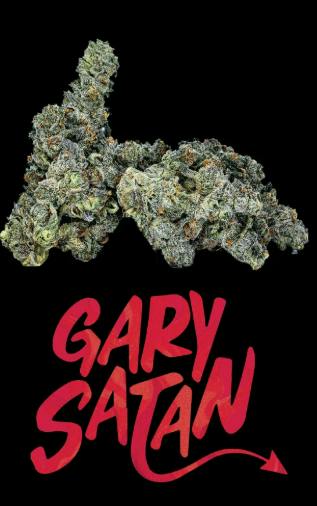 SIXTY SEVEN SINS Gary Satan 7g
