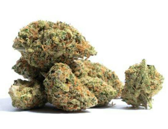 ELEVATOR MK Ultra 14g