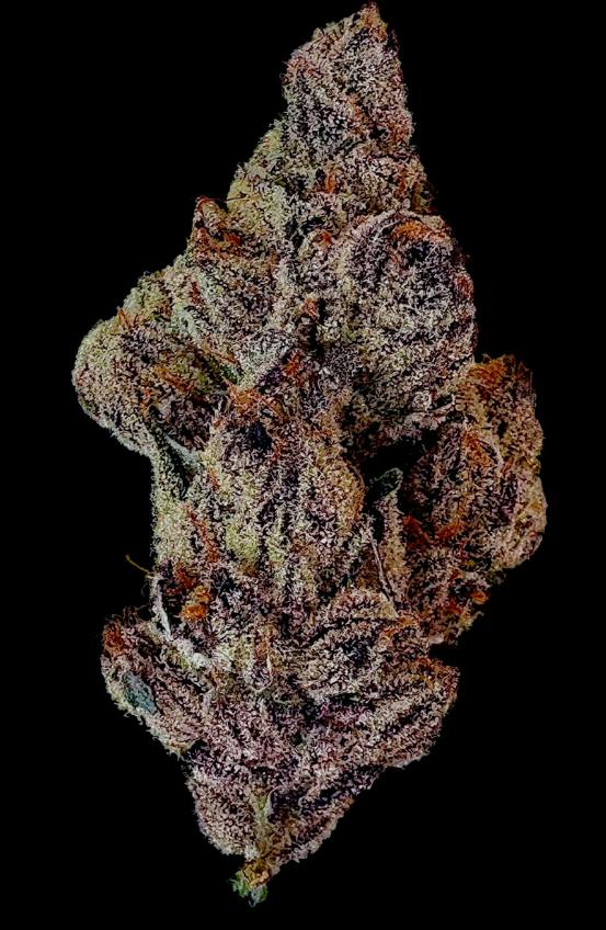 FLORAKRAFT Dracos 3.5g