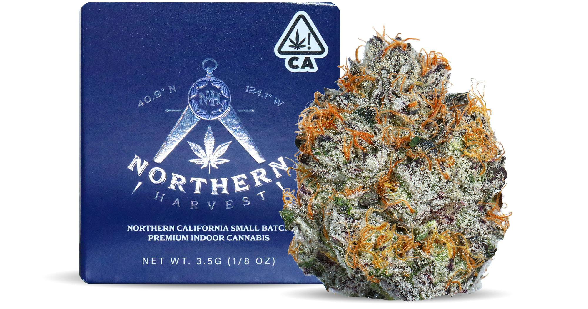 Northern Harvest - — GMO X Oz Kush