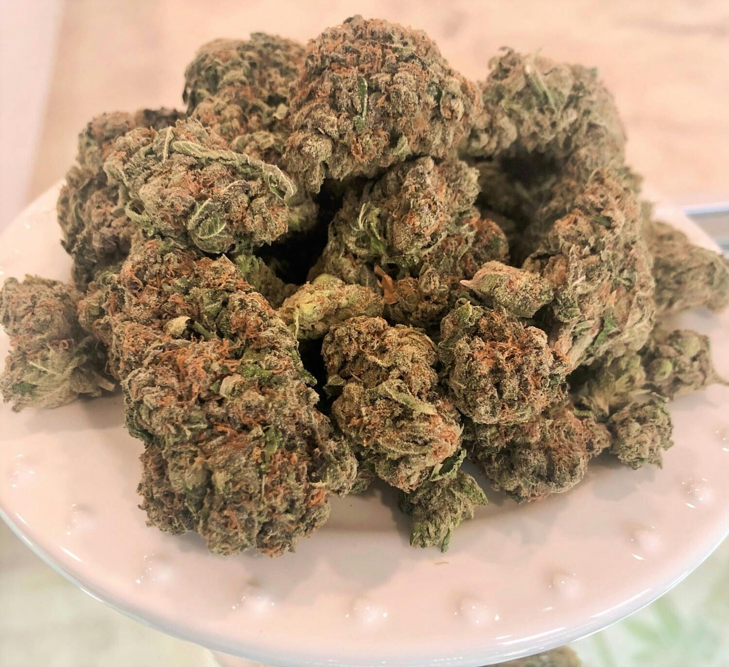 ELITE FLOWER : GELATO CAKE