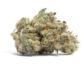 Black Baccara