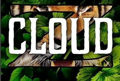 Cloud Z Giggly