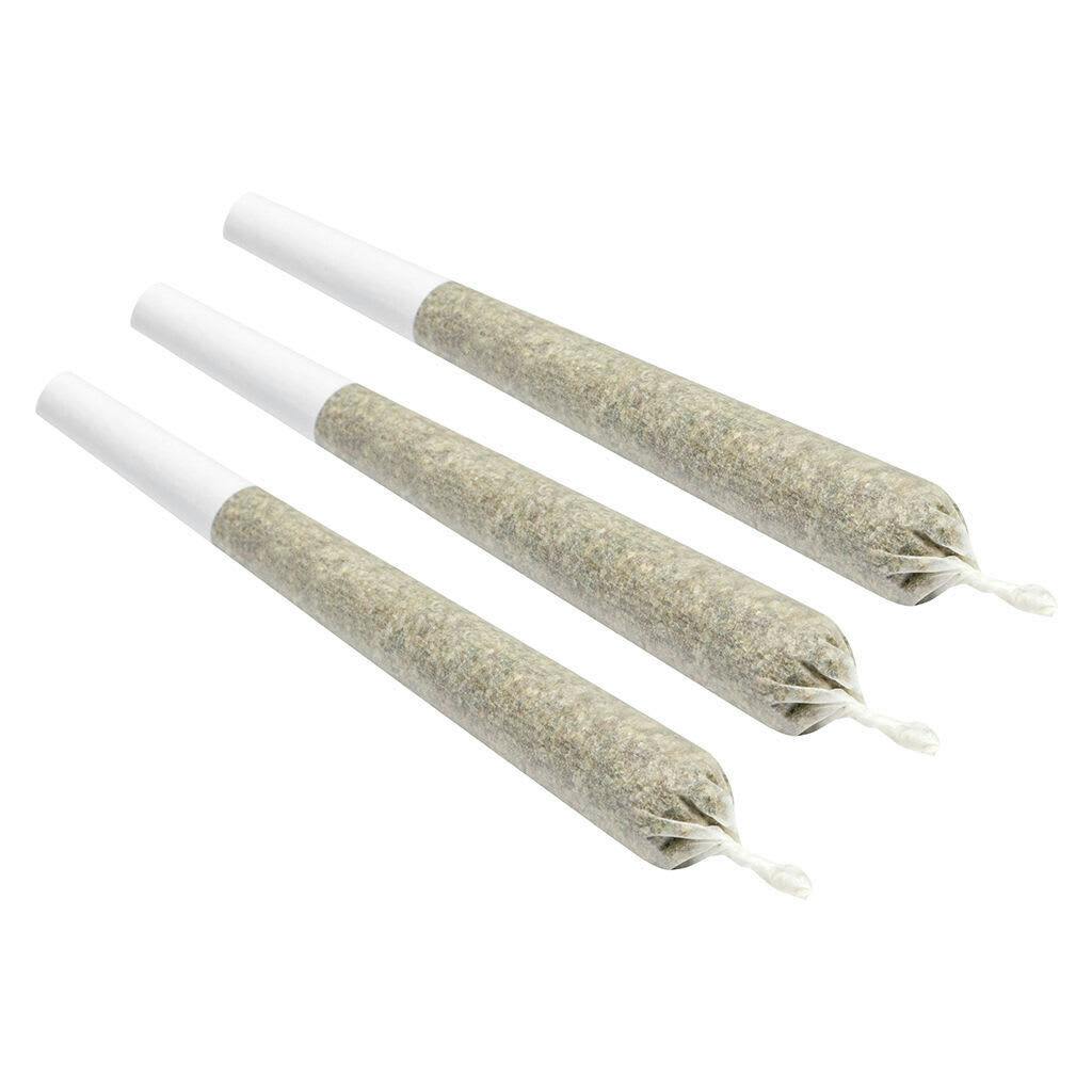 Back Stage Pass Sativa Pre-Roll 10x0.5g Pre-Rolls